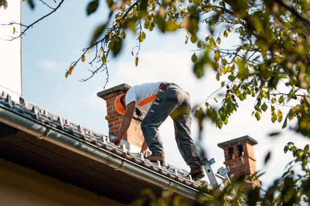 Best Storm Damage Roof Repair  in Lenexa, KS
