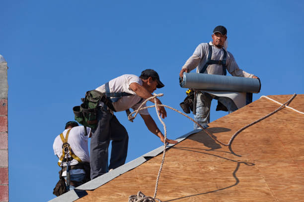Best New Roof Installation  in Lenexa, KS