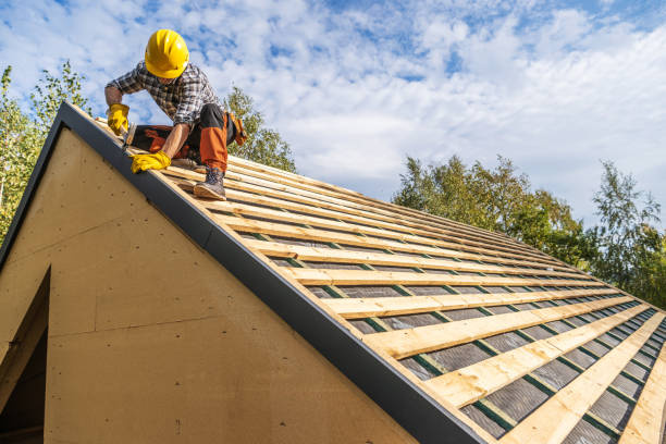 Best Roof Gutter Cleaning  in Lenexa, KS