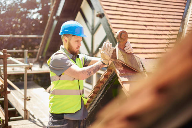 Best Roof Maintenance Services  in Lenexa, KS